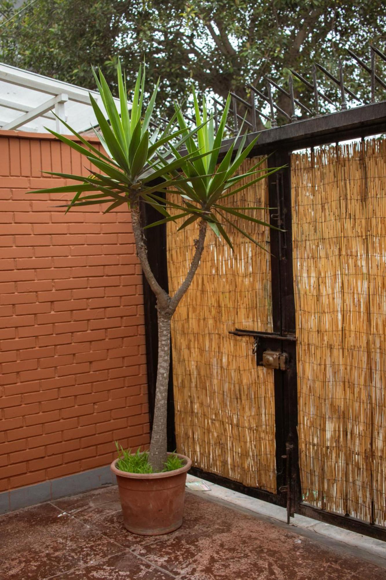 Temazcal Hostel Ліма Екстер'єр фото